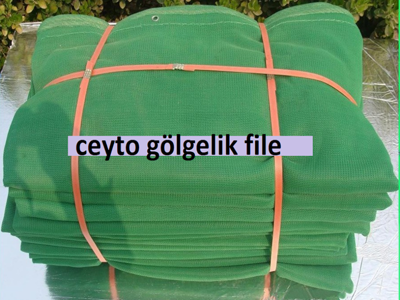 Toptan Gölgelik File